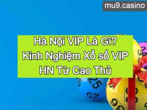 Hà Nội VIP